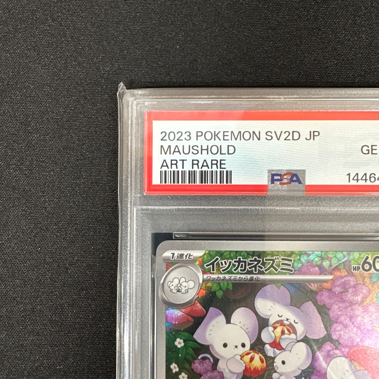 《PSA10》イッカネズミ（sv2D 081/071 AR） 状態A