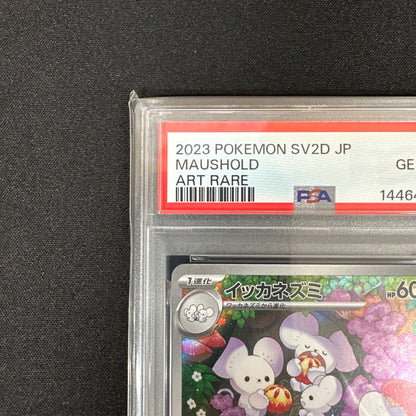 《PSA10》イッカネズミ（sv2D 081/071 AR） 状態A