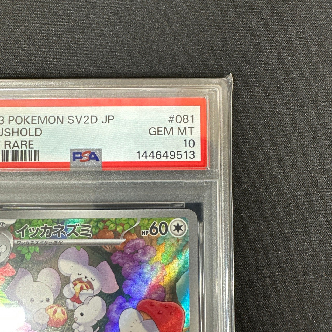 《PSA10》イッカネズミ（sv2D 081/071 AR） 状態A